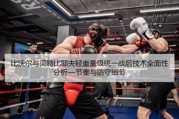 bi-wo-er-yu-bei-te-bi-ye-fu-qing-zhong-liang-ji-tong-yi-zhan-hou-ji-shu-quan-mian-xing-fen-xi-jie-zou-yu-fang-shou-xi-2-335.jpg