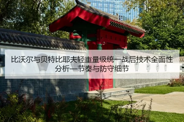 比沃尔与贝特比耶夫轻重量级统一战后技术全面性分析—节奏与防守细节