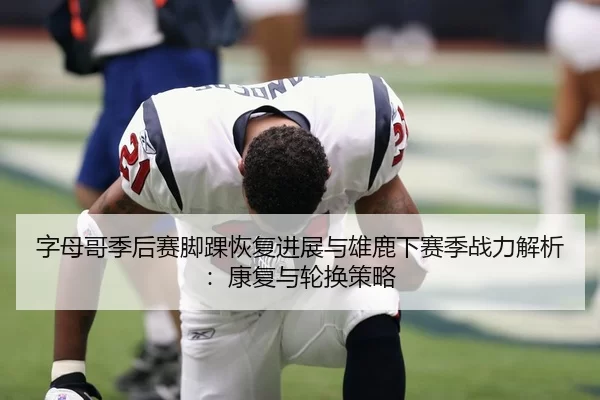 字母哥季后赛脚踝恢复进展与雄鹿下赛季战力解析：康复与轮换策略